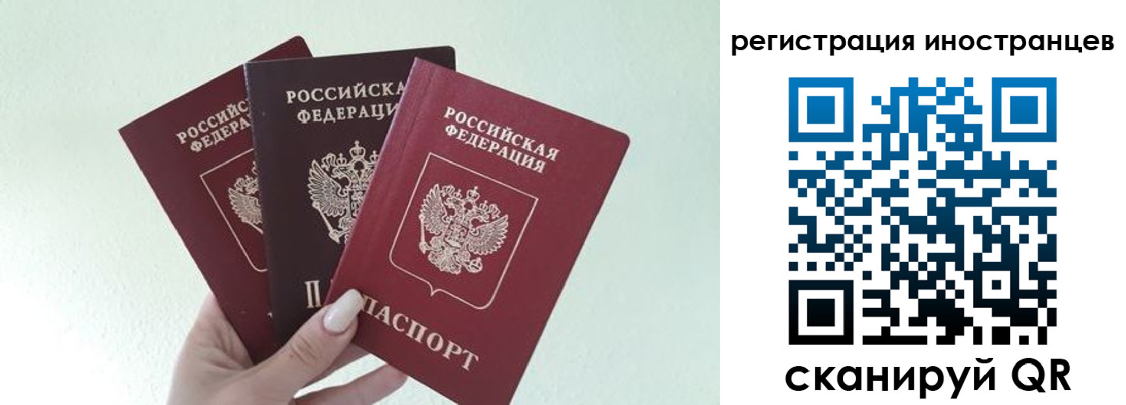 миграционный учет в Ярославской области
